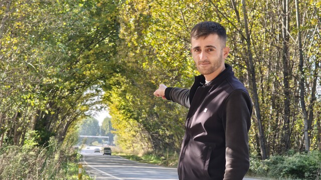 Tokat'ta kavak ağaçlarından sonbahar tüneli