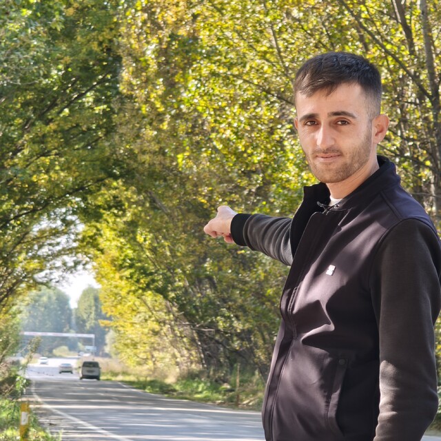 Tokat'ta kavak ağaçlarından sonbahar tüneli