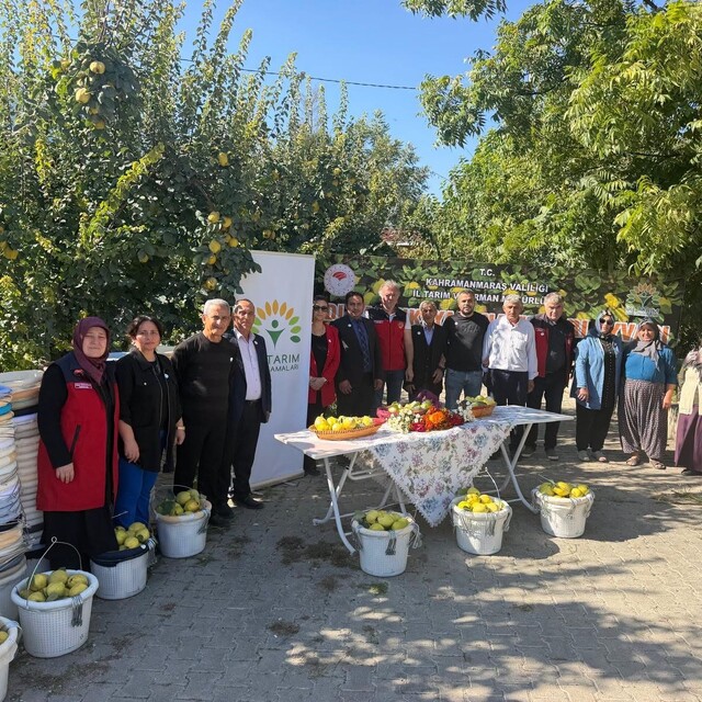 Kahramanmaraş'ta ayva üreticilerine hasat desteği