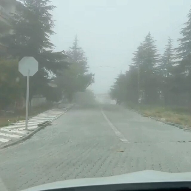 Sivrihisar'da yoğun sis ulaşımı ve günlük yaşamı olumsuz etkiliyor