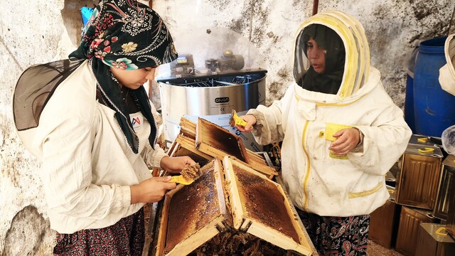 Çam balının başkenti Muğla'da glikozlu bal tepkisi
