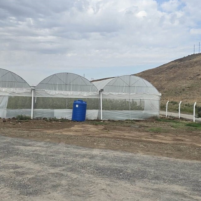 Cizre'de örtü altı yetiştiriciliğine devlet eli