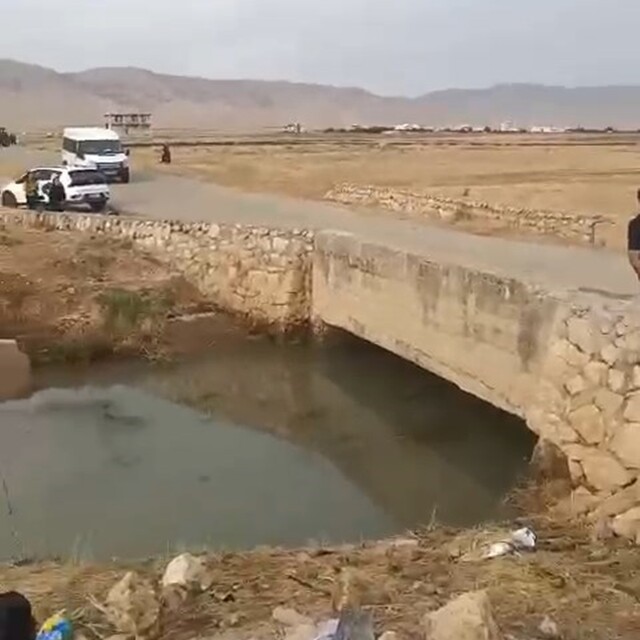 Mardin'de otomobil su kanalına uçtu: 4'ü çocuk, 6 ölü (2)