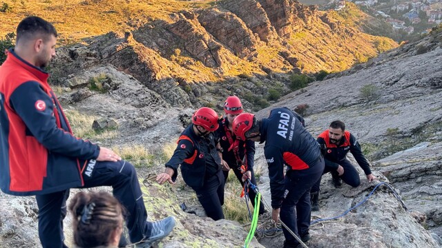 Tunceli'de kayalıklarda mahsur kalan keçileri AFAD kurtardı