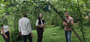 Karadeniz'de istilacı böcek kabusuna 'siber' kalkan