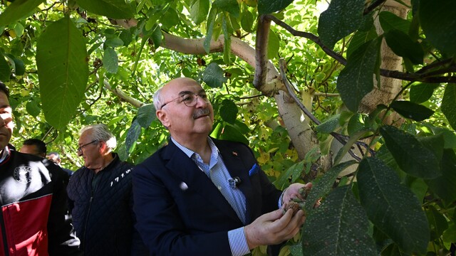 Çameli ceviz üretiminde Türkiye'de ilk sırayı hedefliyor
Denizli'nin Çameli ilçesinde Ceviz Hasadı Şenliği coşkuyla gerçekleştirildi
Çameli'de tarımsal gelir 5 milyar liraya ulaştı
Başkan Arslan: "Asgari ücret yerine tarımla daha fazla gelir hedefliyoruz"