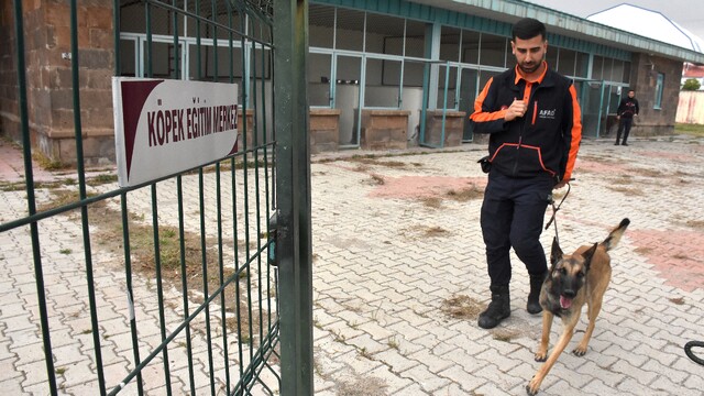 Galeri
