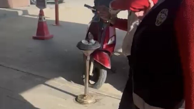 Kediye taşla vuran kadın yakalandı