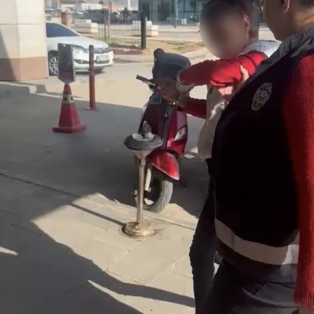 Kediye taşla vuran kadın yakalandı