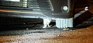 Karabük'te aracın altına sıkışan kedi itfaiye ekiplerince kurtarıldı