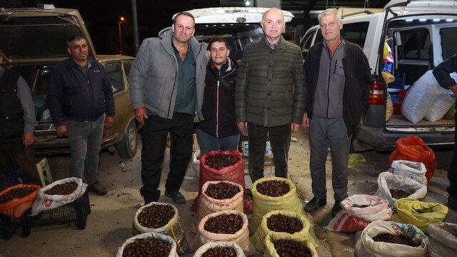 Düzce'de kuzu kestanesi pazarına davet