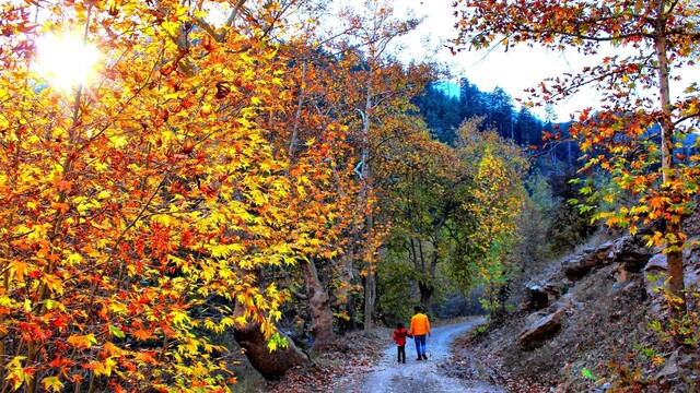 Kahramanmaraş'ta sonbahar renkleri: Göksun manzarasıyla büyülüyor