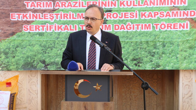 Siirt'te çiftçilere 176 ton kırmızı mercimek tohumunun dağıtımına başlandı