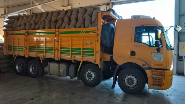 Kastamonu'da fındık üreticisinden 100 tonun üzerinde fındık aldı