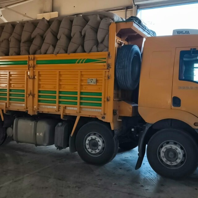 Kastamonu'da fındık üreticisinden 100 tonun üzerinde fındık aldı