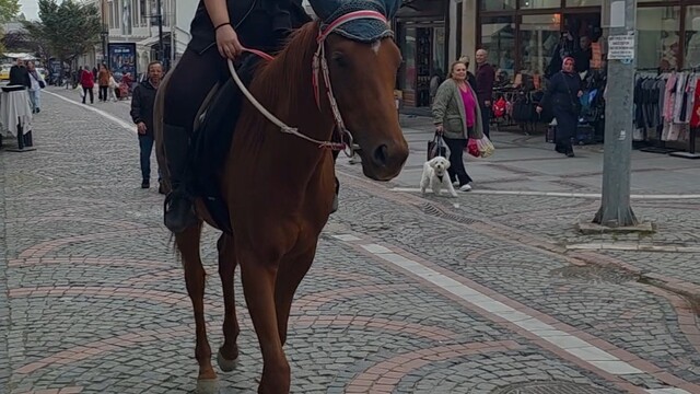 Edirne'de atıyla caddelerde gezen kadın ilgi odağı oldu