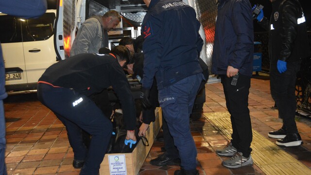 Ordu'da denize atlayan genç hayatını kaybetti