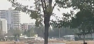 Siverek’te otomobil ağaca ok gibi saplandı: 3 yaralı