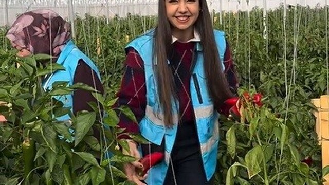 Çayırlı'da öğrenciler sera ziyaretinde hasada katıldı