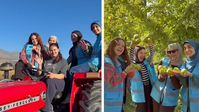 Erzincanlı öğrenciler Üzümlü'de meyve hasadına katıldı