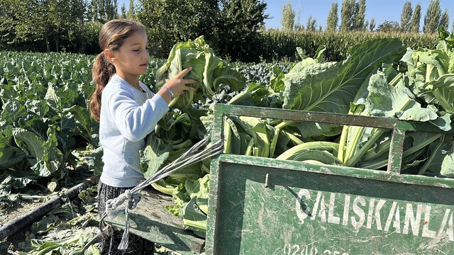 Burdur'da 9 yaşındaki Medine'nin bir eli tarlada, aklı ise geleceğinde
Tarlada çalışmanın zorluklarını yaşarken bir yandan da eğitim hayatını sürdürmeye çalışıyor