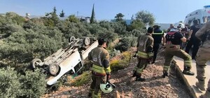 Zeytinliğe uçan kamyonetin sürücüsü yaralandı