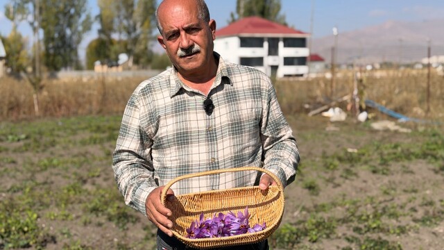 Esnaflığı bıraktı, tarlada serveti buldu: Kilosu 1 milyon lirayı bulan "kırmızı altın" hayatını değiştirdi