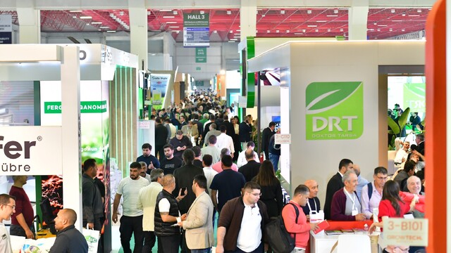 Growtech Antalya'da tıbbi kenevir için özel alan