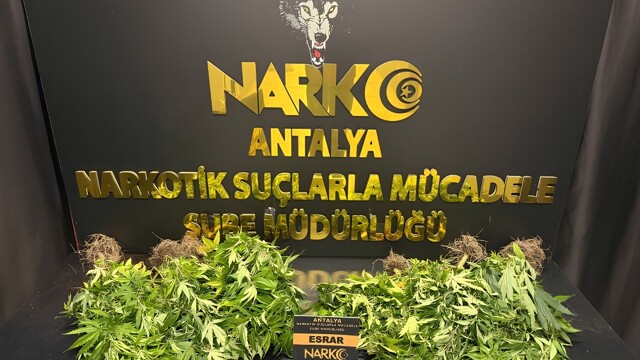 Antalya'da 32 operasyonda 28 bin 519 sentetik ecza ele geçirildi