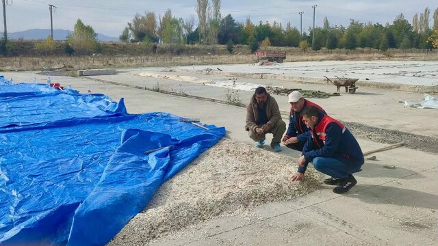 Çay'da kabak çekirdeği ve elma üreticilerine saha ziyareti