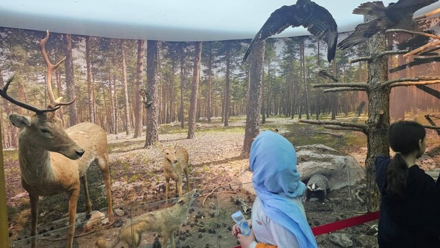 Kütahya Çamlıca Tabiat Parkı'nda öğrencilere doğa eğitimi