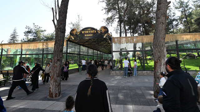 Galeri
