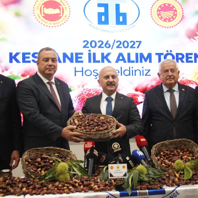 Aydın kestanesinde sezonun ilk ürünü 600 TL'den alındı