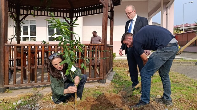 Giresun'da Cumhuriyet'in 103. yılı dolayısıyla fidan dikildi
