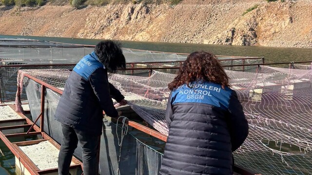 Ordu'da alabalık tesislerine denetim