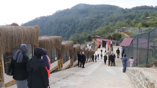 Galeri