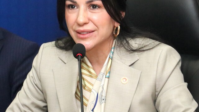 AK Parti Genel Başkan Yardımcısı Ayan, Erzurum'da konuştu:
