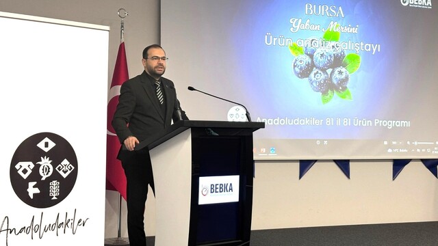 Bursa'nın yaban mersini için yol haritası paydaşlarla çiziliyor
