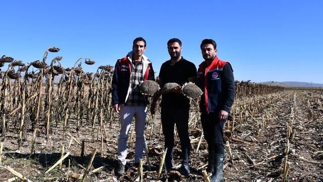 İzmir'de öğrencilerden Cumhuriyet Bayramı etkinliği