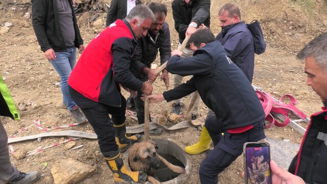 Yalova'daki ölümlü kazada aileden kusur itirazı
Aile yeni görüntülerle savcılığa başvurdu