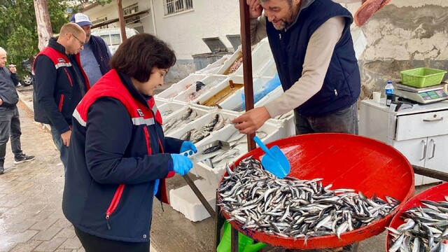 Dazkırı'da balık satış noktalarına denetim