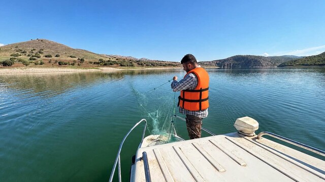Elazığ'da sonbahar dönemi balık örnekleme çalışmaları