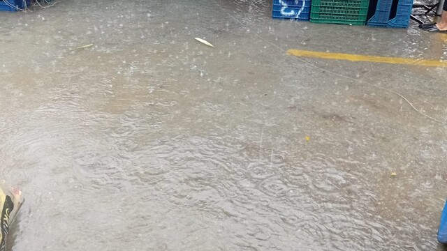 Alanya'da pazar yerini su bastı
Sağanak yağış bir binanın bahçesinde de su baskınına neden oldu