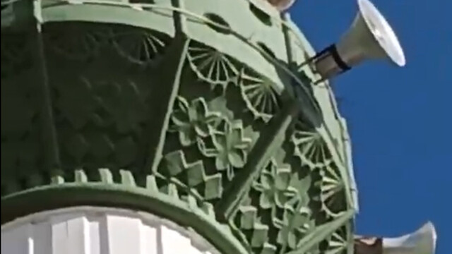 Tilki minareye çıktı