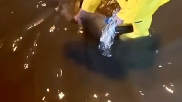 İskenderun'da yağış sonrası oluşan su birikintileri giderildi