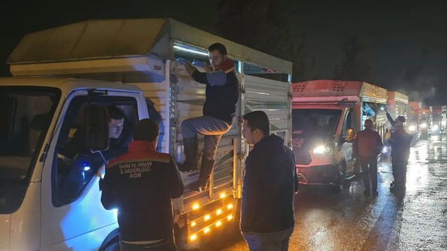 Aydın'da hayvan pazarlarında sıkı denetim