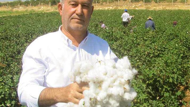 Araban ÇUKOBİRLİK 2026-2027 yılı pamuk alım fiyatlarını açıkladı