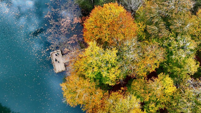 Sonbahar renklerine bürünen Yedigöller, fotoğraf tutkunları ve doğaseverleri cezbediyor