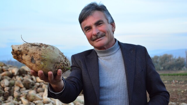 Şeker pancarı üreticisinin sözleri sosyal medyada gündem oldu: "'Ben kazanmıyorum' diyen çiftçiler külliyen yalan söylüyor"