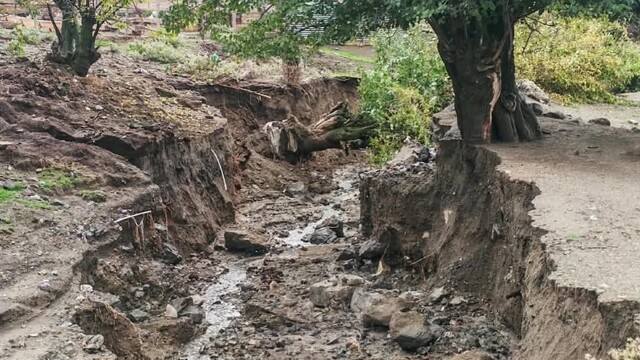 Elazığ'da aşırı yağış sonrası ağaçlar devrildi, derin çukurlar oluştu